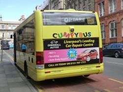 cumfy bus